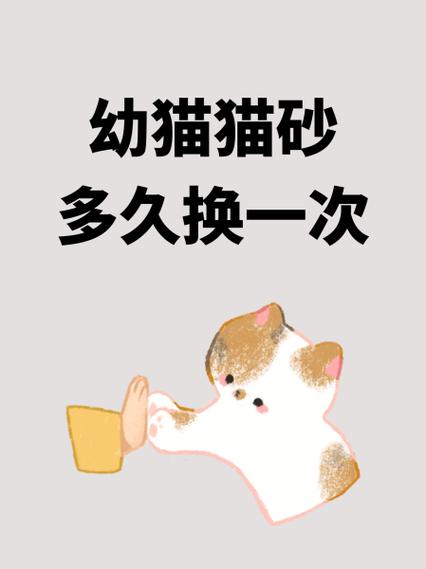 猫砂多长时间全部更换一遍?