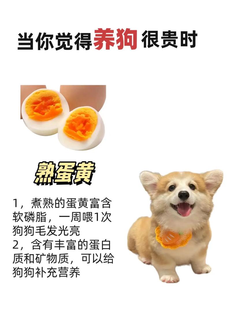 狗狗吃鸡蛋黄有什么好处