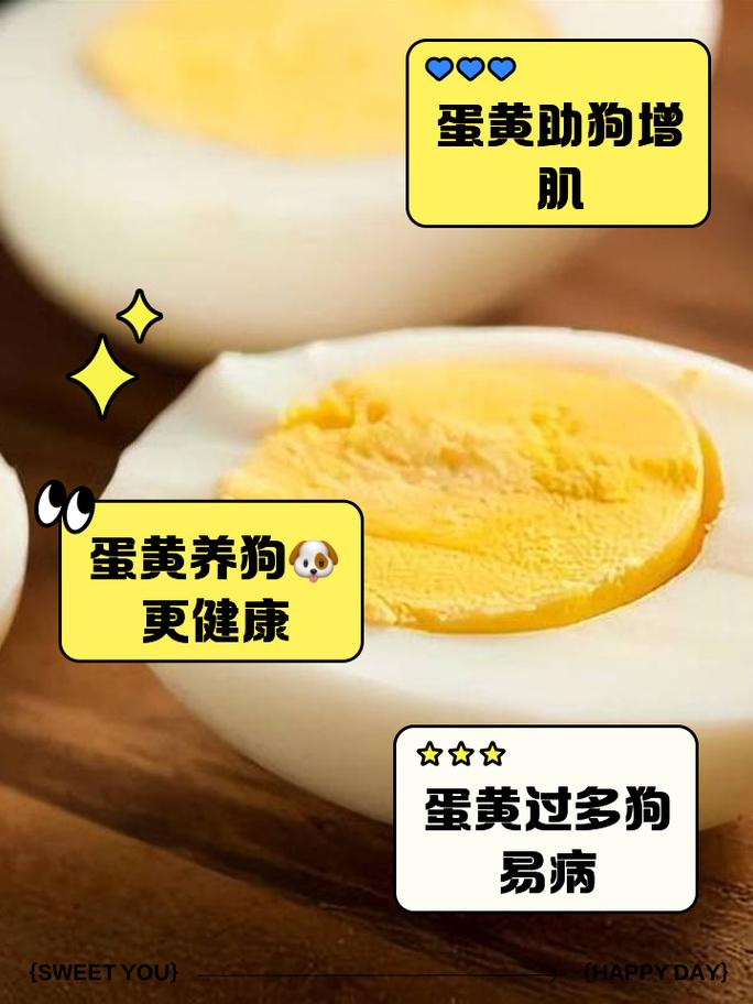 小狗可以吃鸡蛋黄么