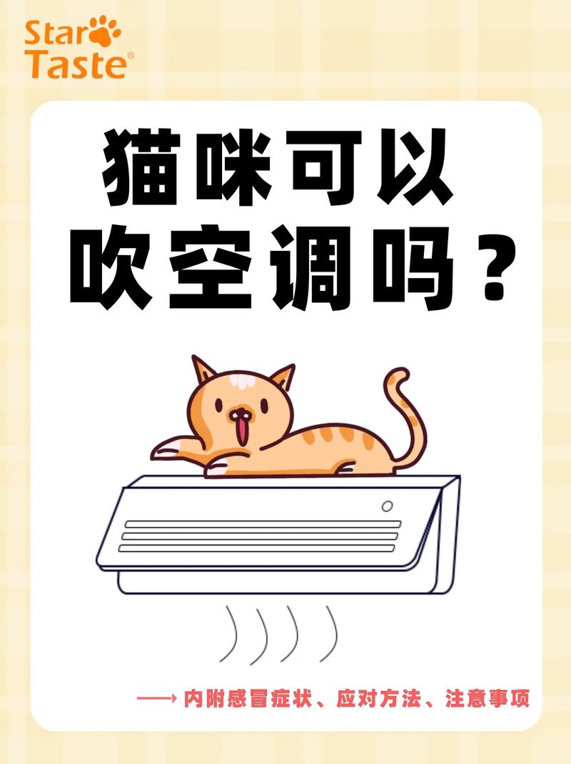猫可以和人一起吹空调吗夏天