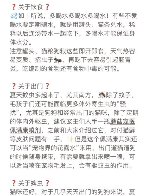 猫夏天需要开空调吗