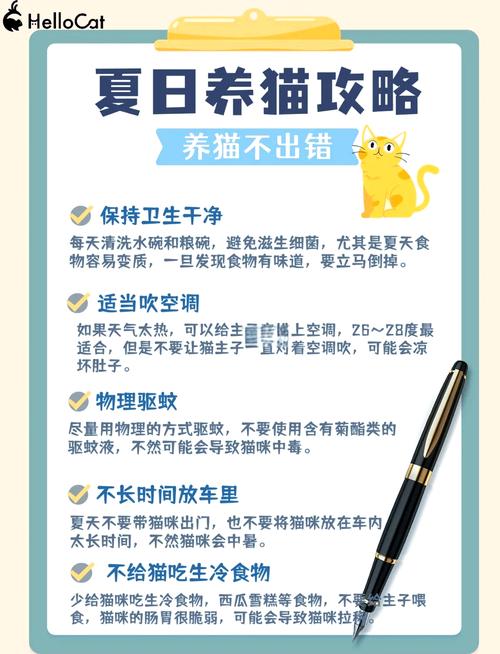 猫咪可以吹空调吗