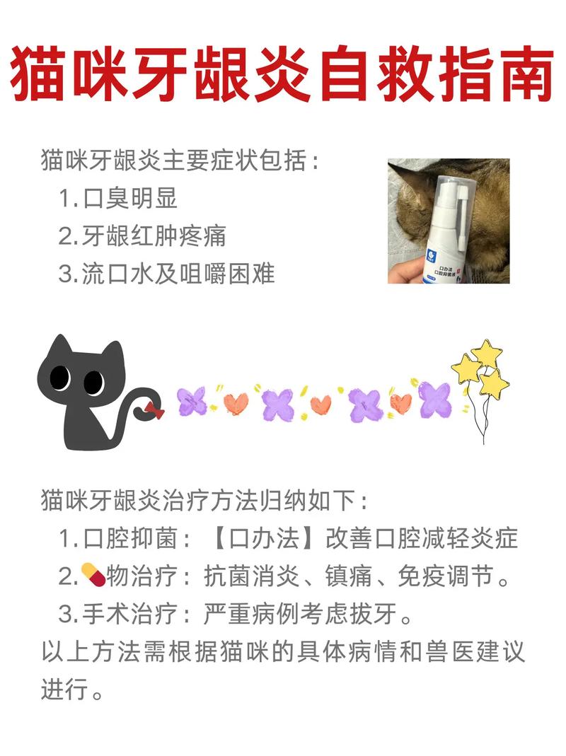 猫咪牙周炎症状和治疗