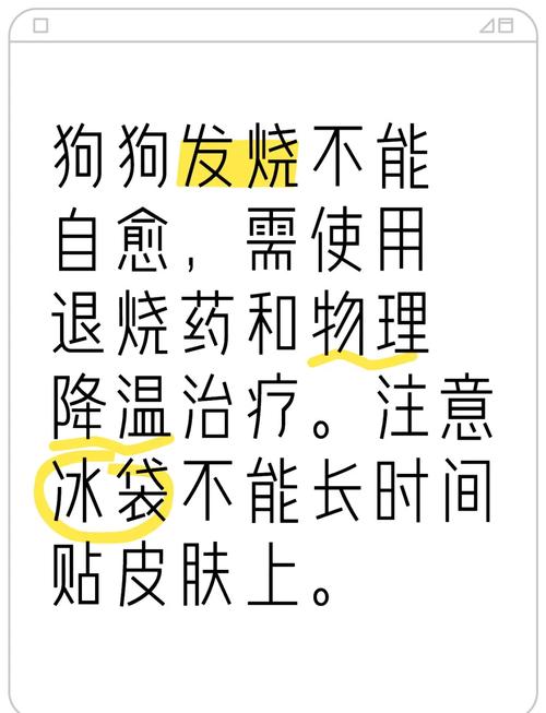 狗子感冒可以自愈么