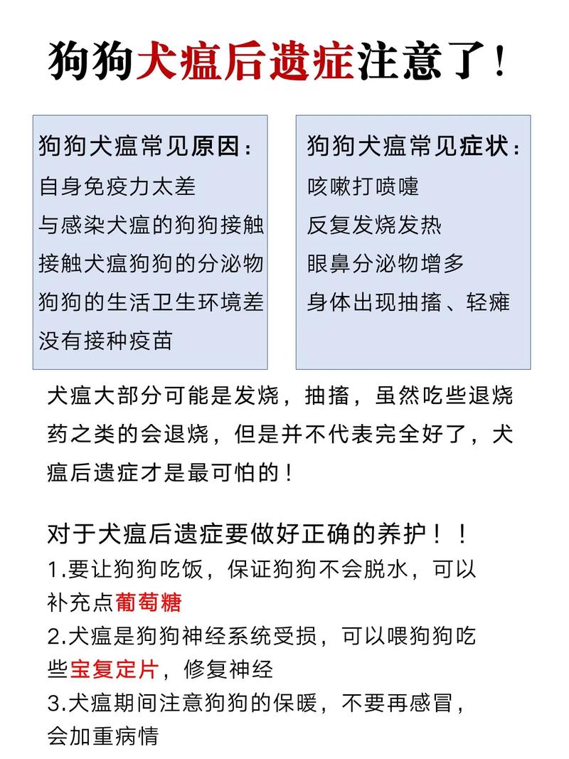 犬瘟热的后遗症有哪些?