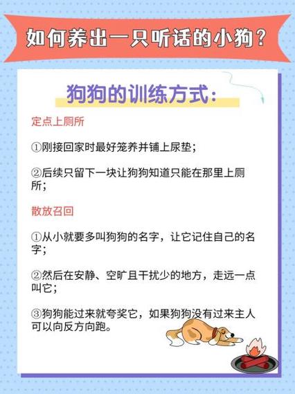 如何养出一只听话的小狗?