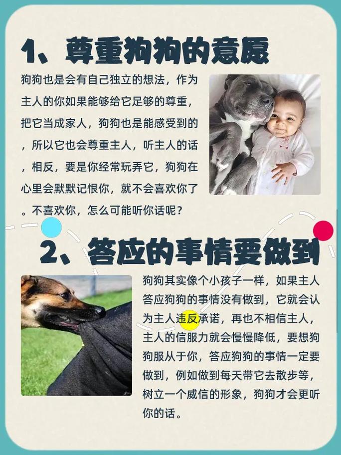 狗怎么训练才能听话