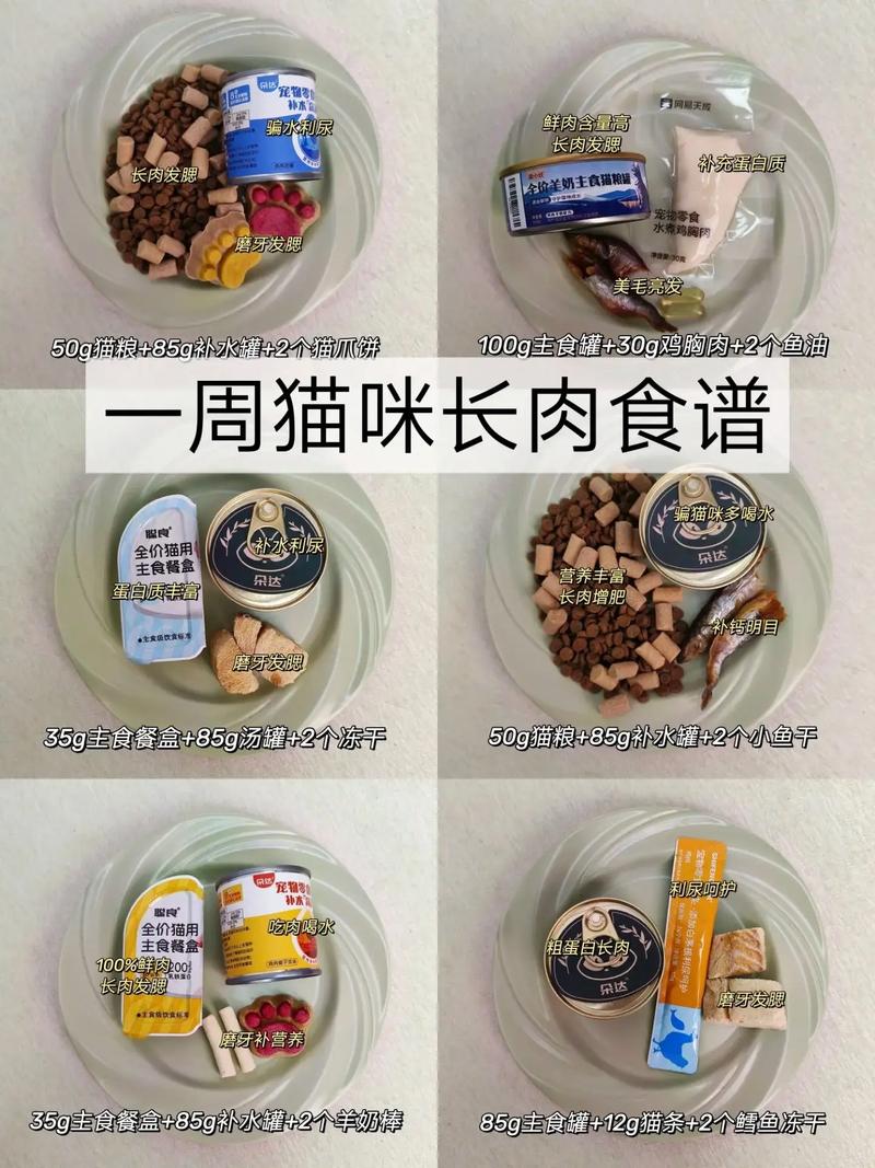 猫咪吃什么容易长胖?