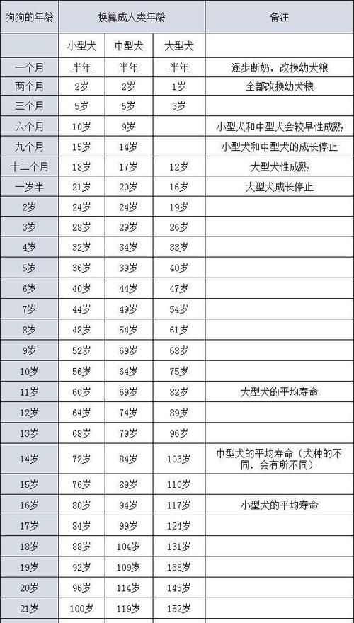 狗狗的年龄怎么算