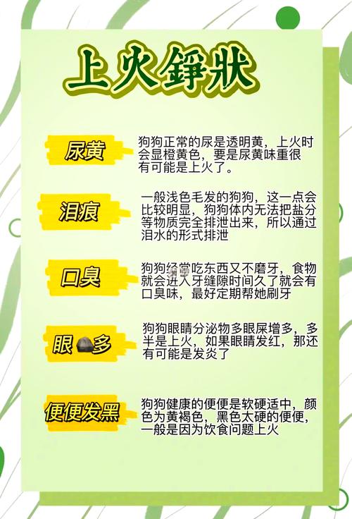 狗狗上火怎么办最有效