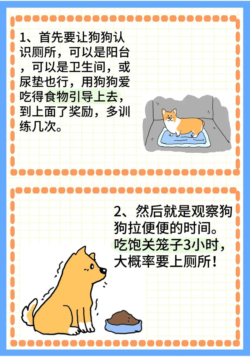 怎样制止狗狗乱叫五个方法