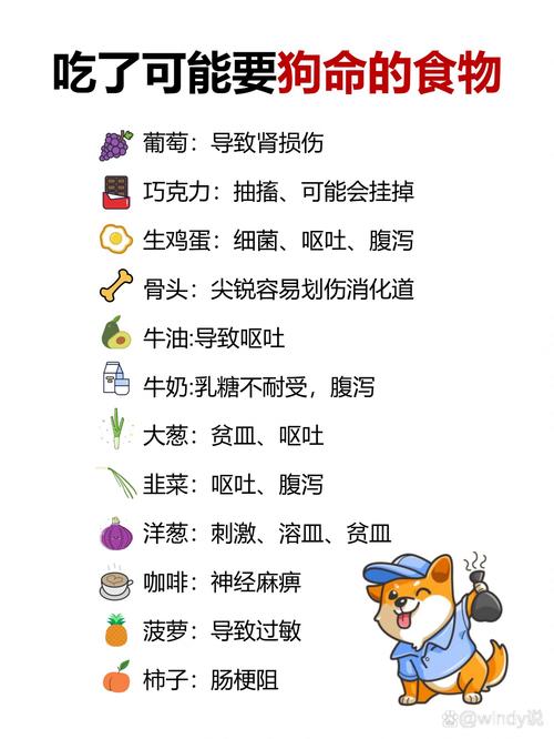 狗狗不能吃的食物