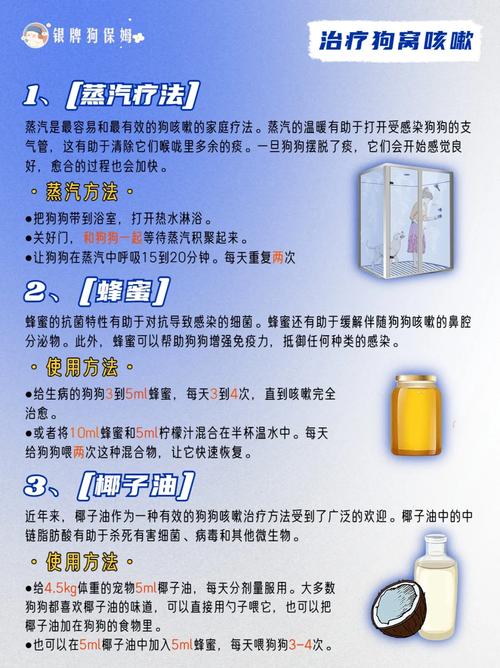 狗狗支气管炎吃什么药