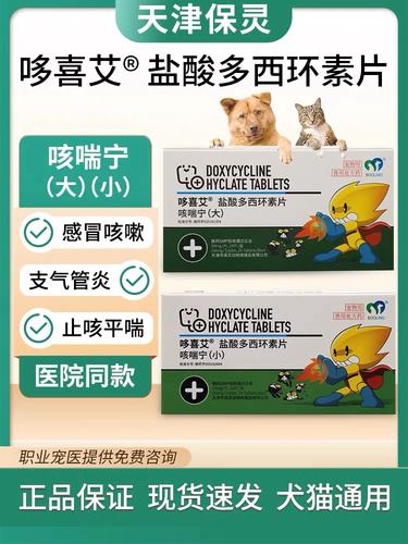 狗狗得了支气管炎怎么办