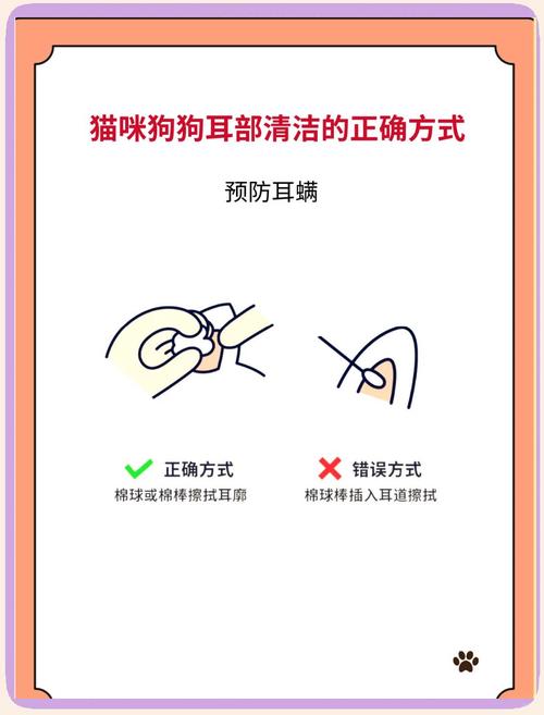给狗狗清理耳朵的方法,给狗掏耳朵需要很深吗?