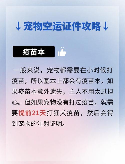 狗狗空运需要哪些手续?