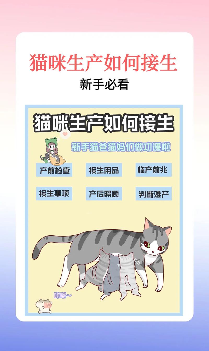 如何帮猫咪接生?