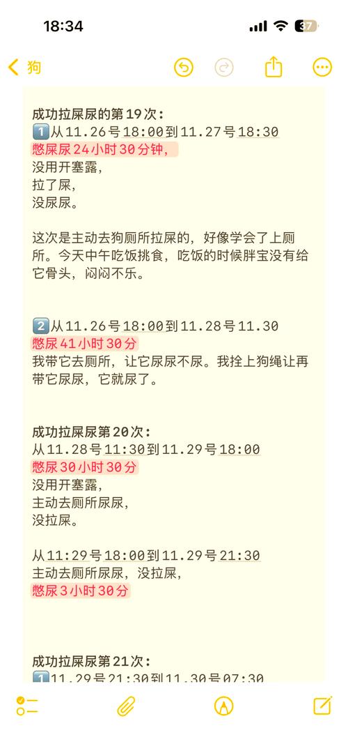 如何防止狗狗在家里随地大小便