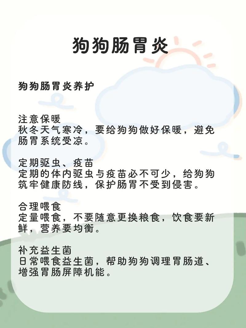 狗狗拉肚子呕吐没精神不吃东西怎么办