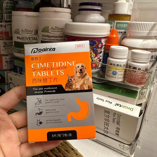 狗狗拉稀呕吐不吃东西没精神怎么办