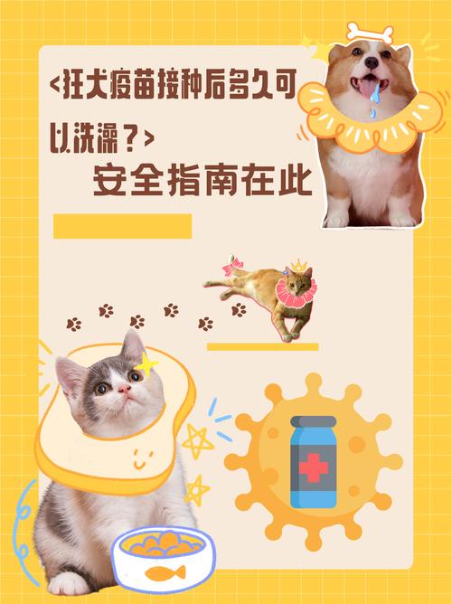 小狗打针后3天不小心给它洗澡了会有什么后果?