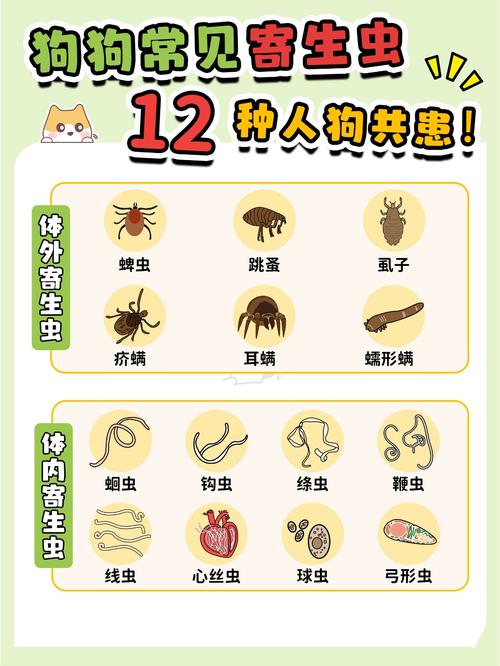 宠物狗身上有寄生虫吗