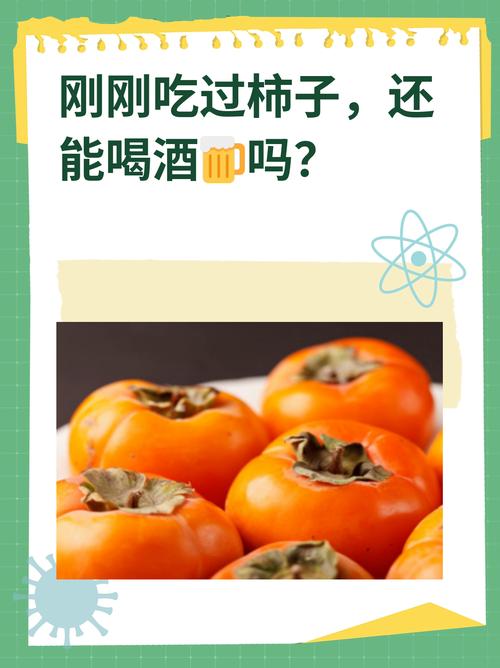 泰迪狗狗能吃柿子吗