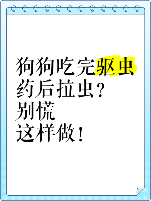 狗狗吃完驱虫药的反应?