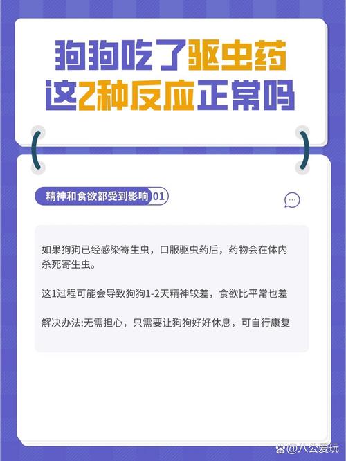 小狗吃了驱虫药后会有哪些反应?