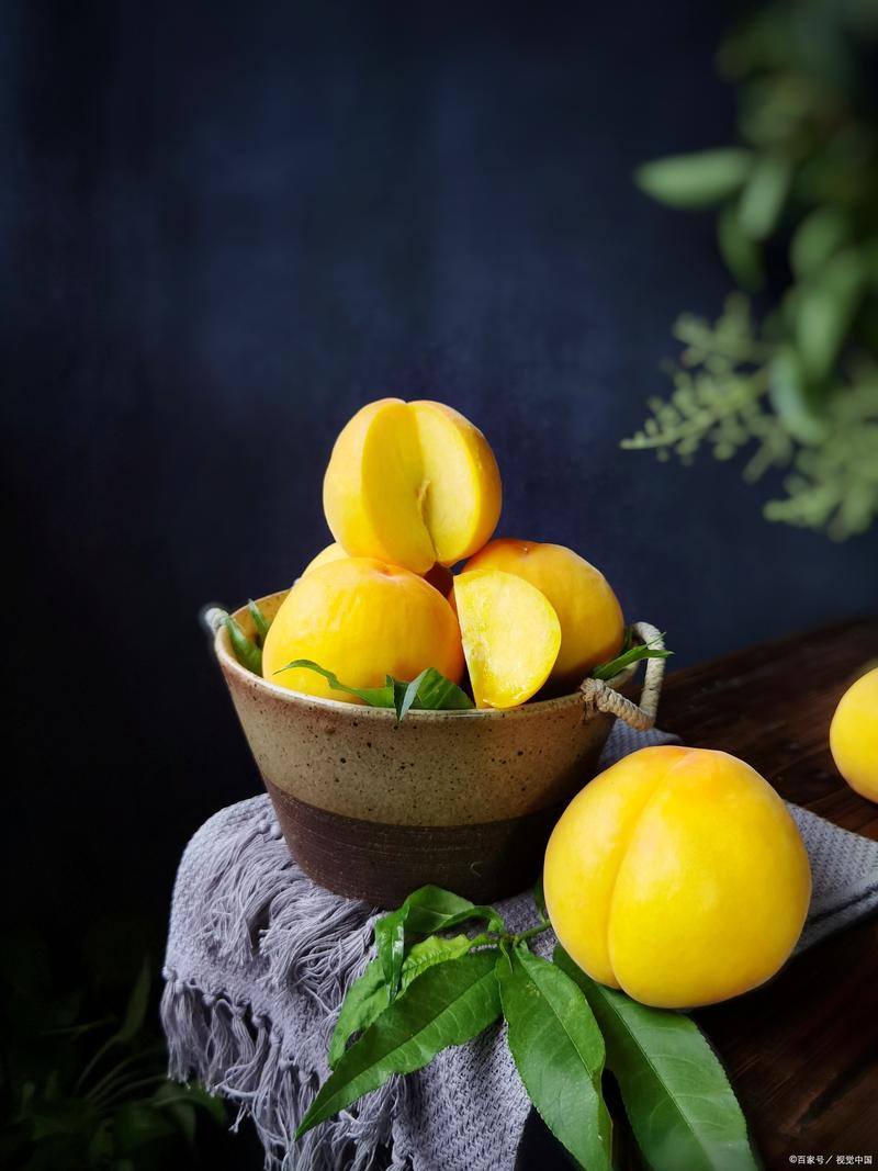 小狗可以吃黄桃吗