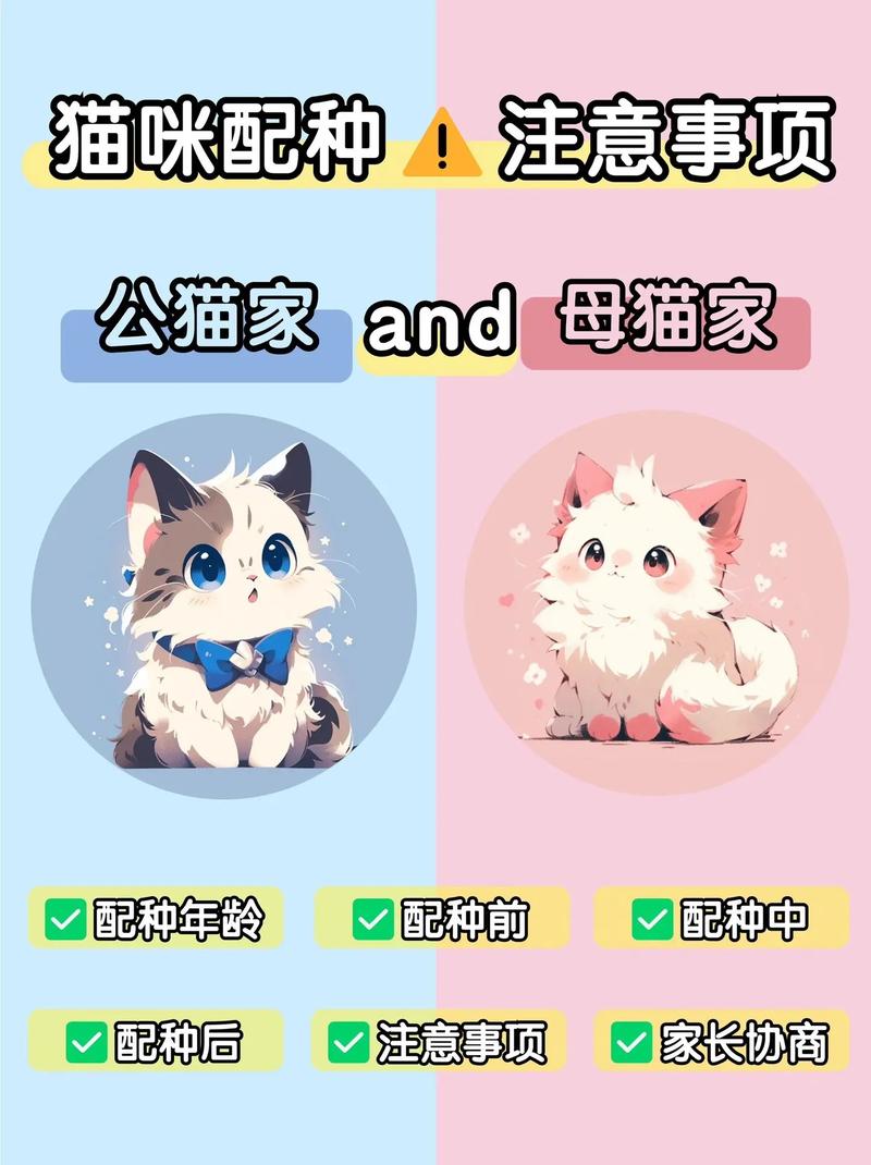 猫咪多大可以配种?