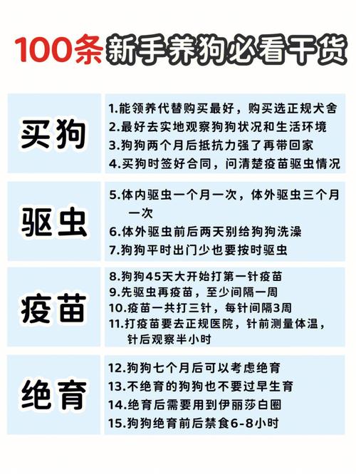 7招让狗狗身上不再有异味|新手养狗收藏