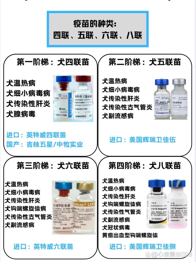 狗注射的疫苗几联是什么意思?