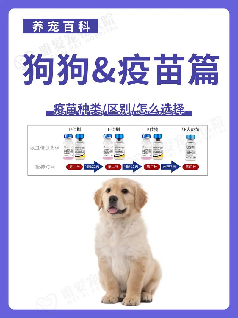 狗三联四联是什么?