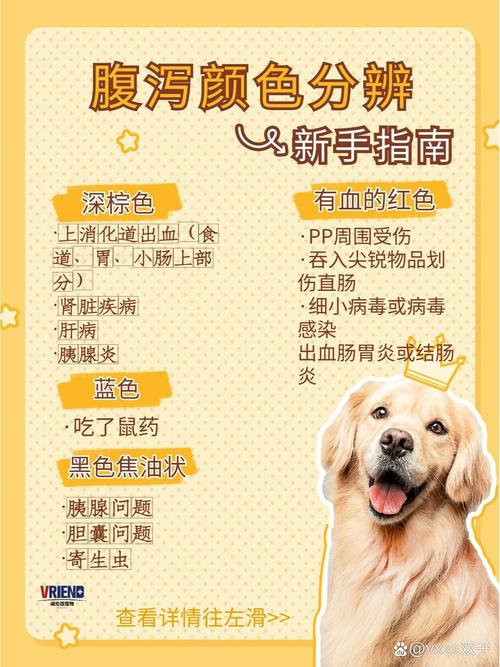 狗狗拉肚子能洗澡吗