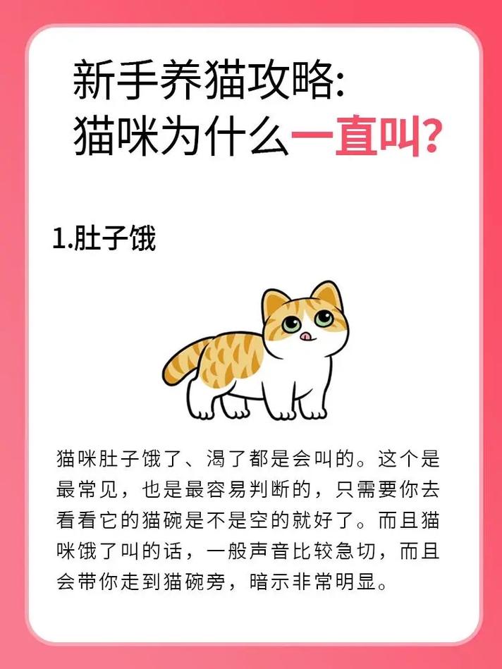 家里的猫咪一直叫是怎么回事?