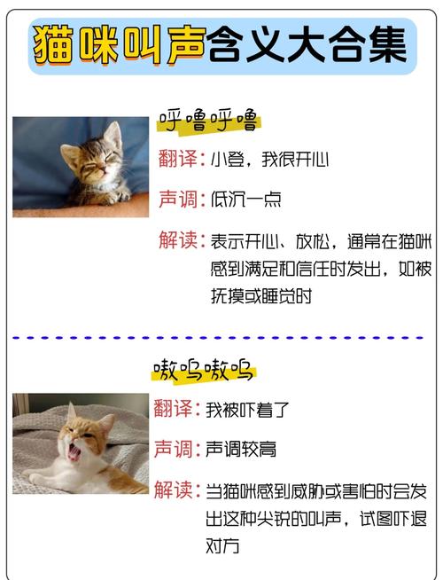 猫嗷呜嗷呜叫什么意思