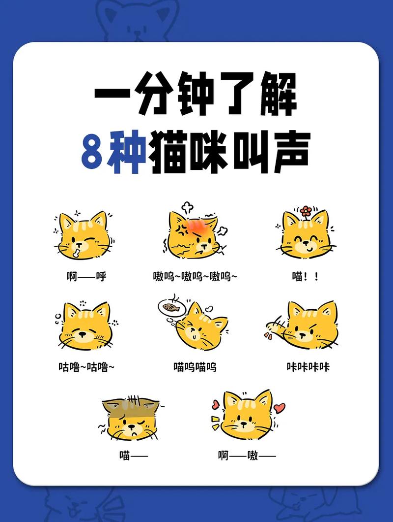 猫咪嗷呜嗷呜的叫是什么意思