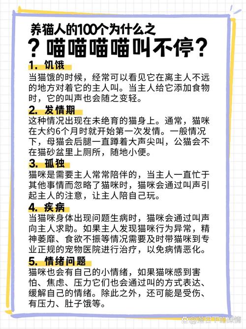 猫为什么嗷呜嗷呜叫?
