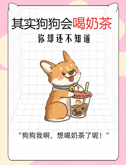 狗狗喝了一点奶茶有事吗