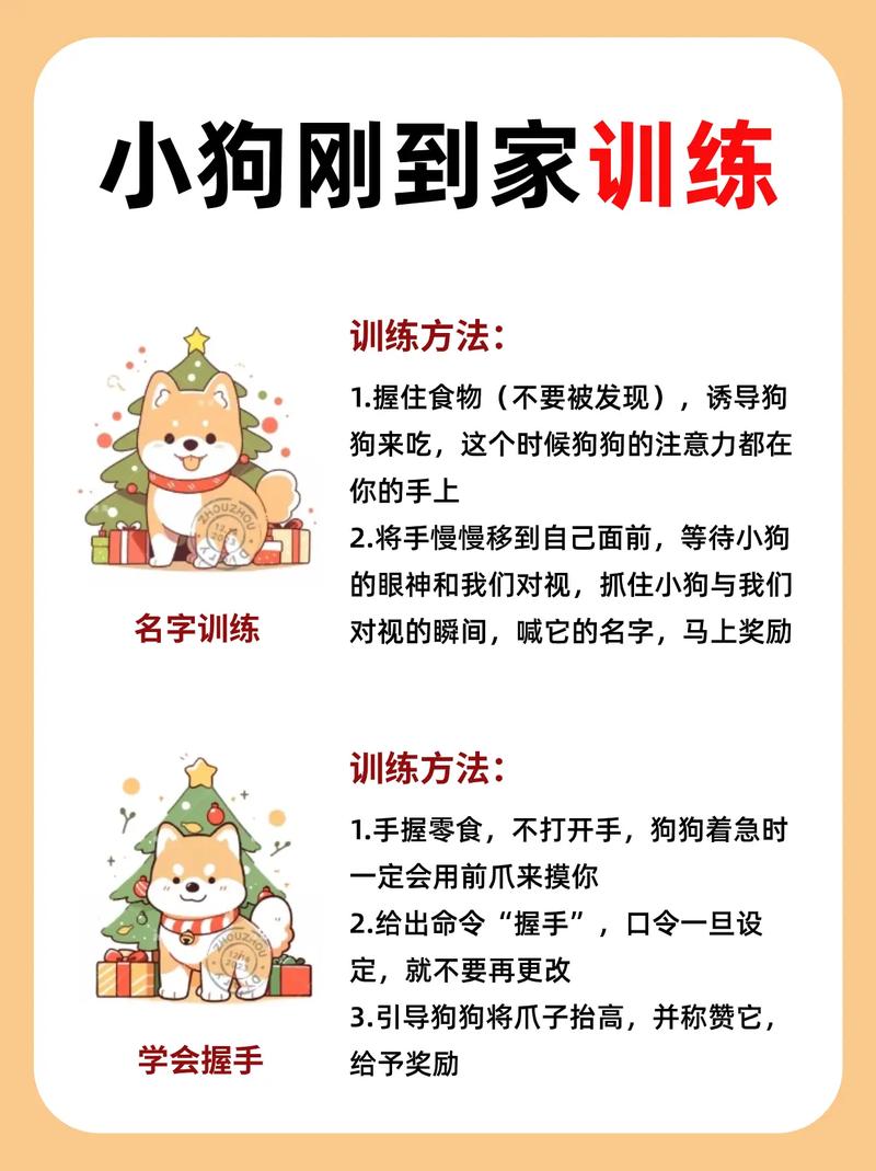 狗狗多大时开始训练效果比较好,可以两个人一起训狗吗?
