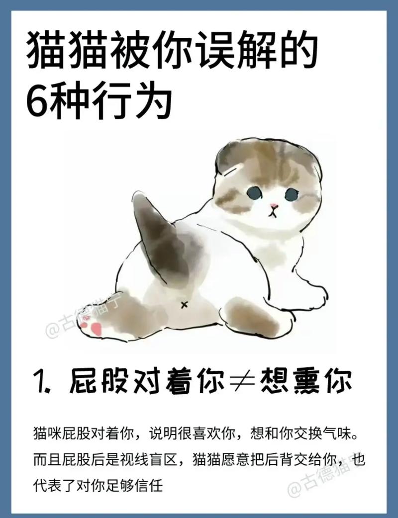 小猫爱舔人是怎么回事