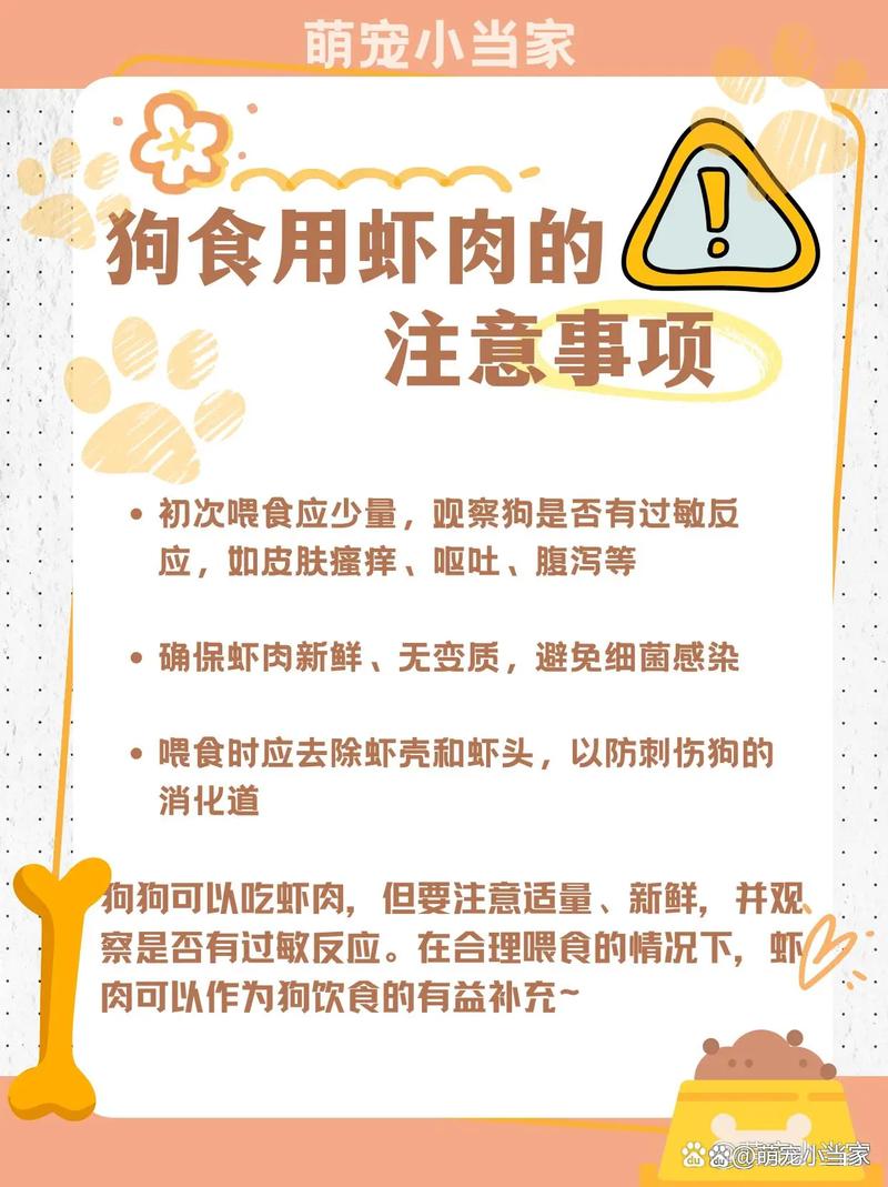 狗狗可以吃膨化食品吗