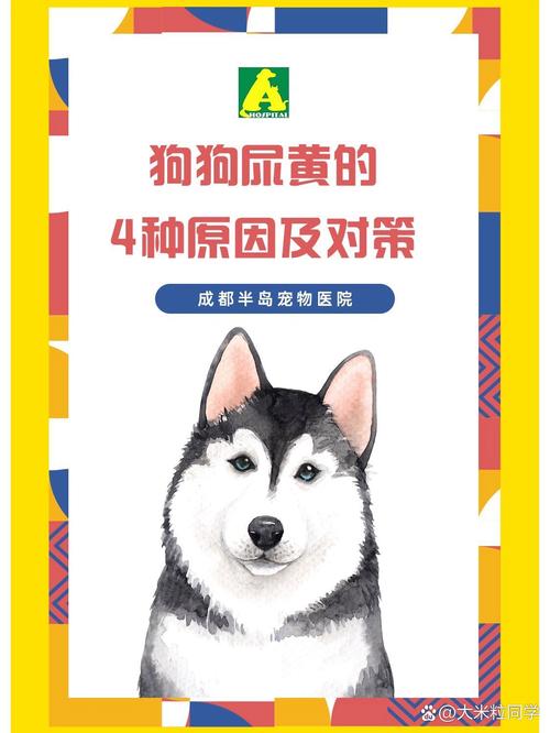 狗狗尿黄是什么原因