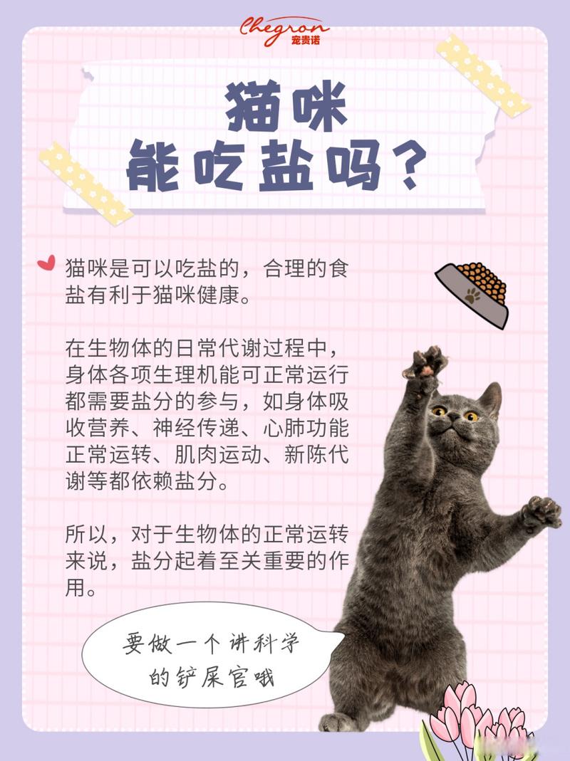 猫不能吃盐是真的吗