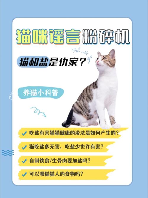 猫咪可以吃盐吗