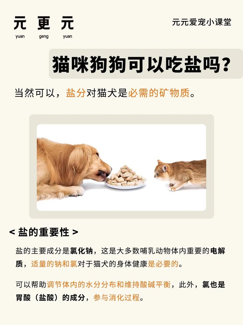 猫为什么不能吃盐