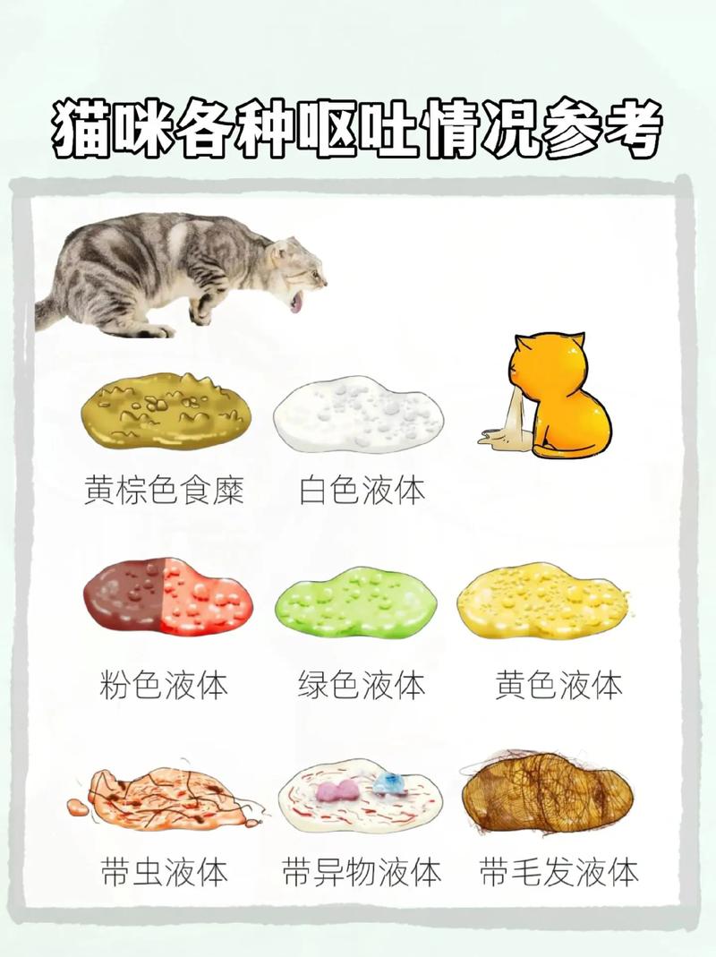 猫咪洗完澡后呕吐怎么救