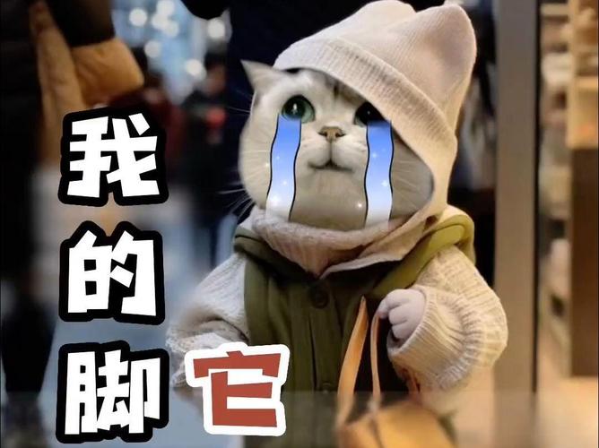 猫咪从高处跳下腿摔到了铁走路一瘸一拐的怎么办?