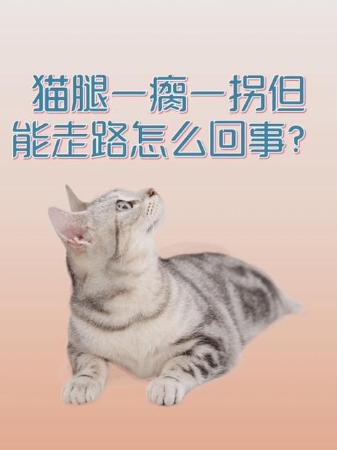 猫咪腿摔瘸了能自愈吗